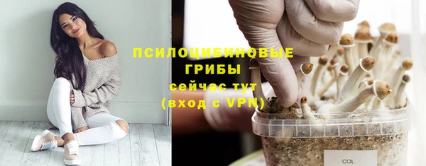мет Алексин