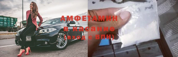 мет Алексин